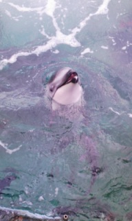 �\�o��������