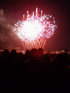 �傫�����H