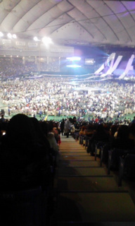 �h�[���͍L���B