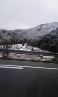 春なのに・・・。