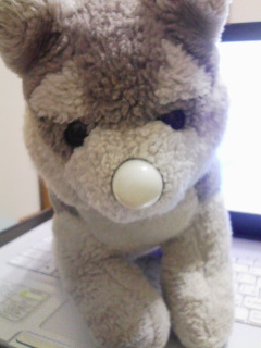 �䂪�Ƃ̥���B