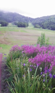 �^���O����