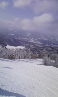 �ݸ��ѽ������