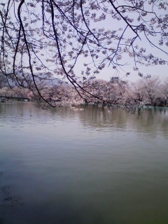 8���炫���ƌ�������ǁB