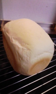 �Ђ��т��ɂ��傭�ς�